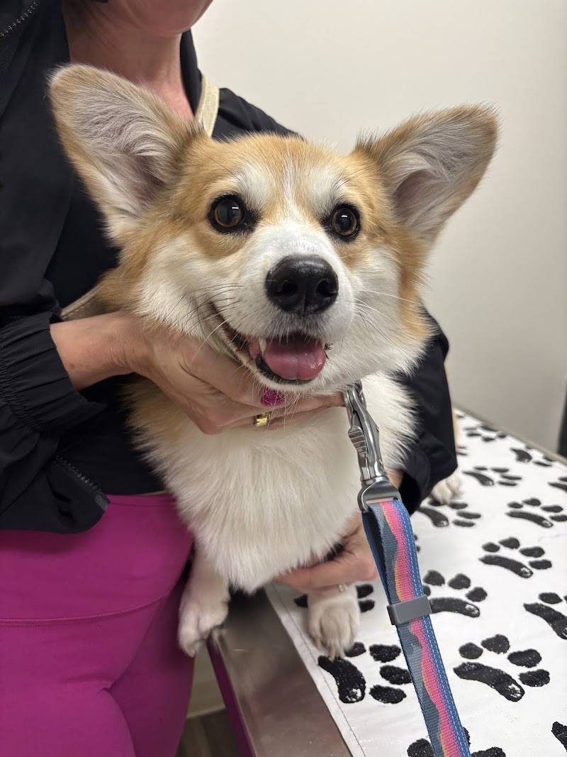 SF Vet Hospital