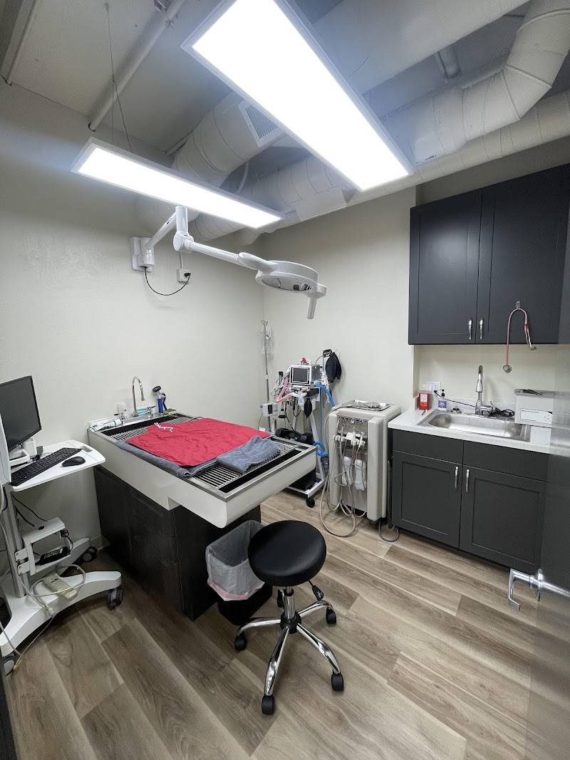 SF Vet Hospital